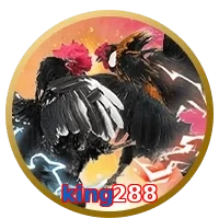 king288